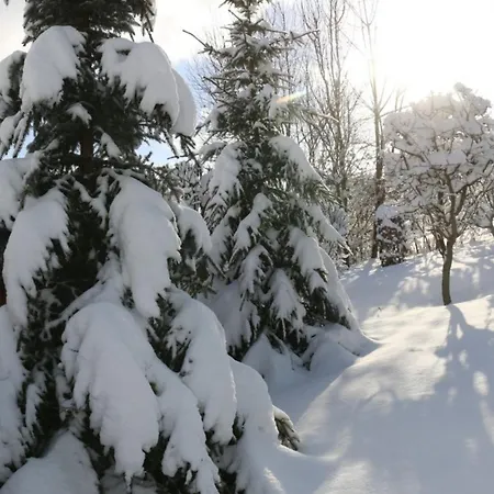 Blockhaus 3 * Bad Sachsa